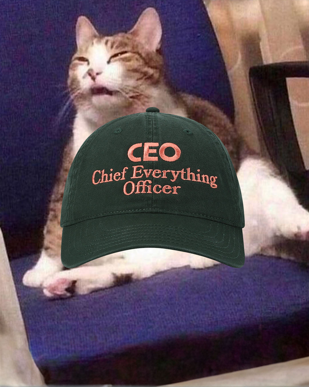 CEO Cap